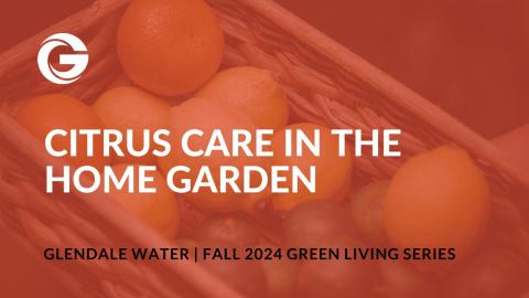 Citrus Care in the Home Garden thumbnail