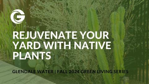 Rejuvenate Your Yard with Native Plants