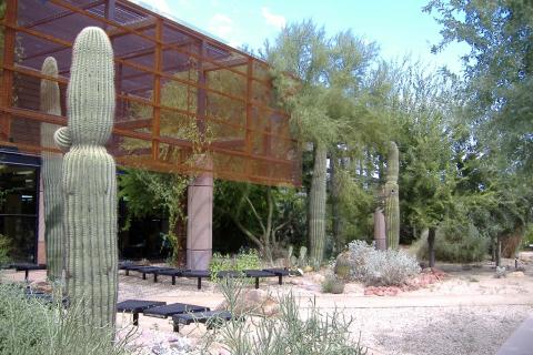 View of Xeriscape Garden on south side of Main Library with Cacti and Benches