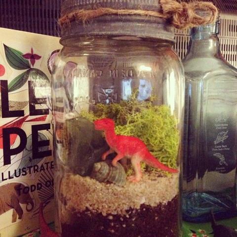 dino mason jar terrarium