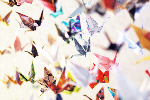 A photo of colorful origami paper cranes hanging from strings.