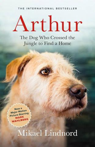 Cover of book Arthur