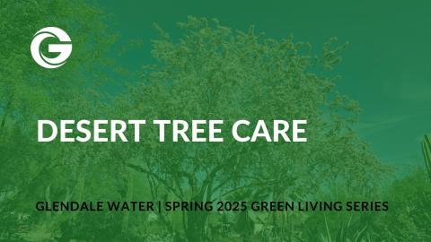 Desert Tree Care