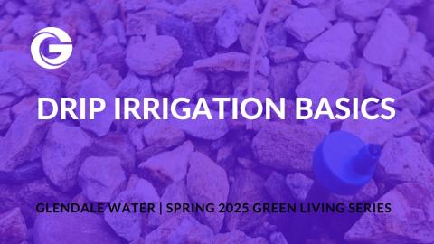 Drip Irrigation Basics