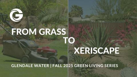 From Grass to Xeriscape thumbnail