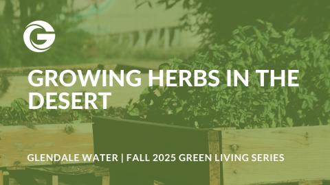 Growing Herbs in the Desert thumbnail