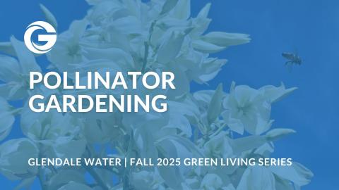 Pollinator Gardening thumbnail