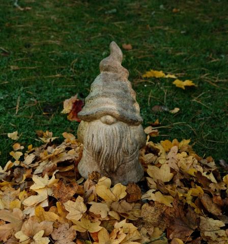 A sculpture of a bearded gnome in a pointy hat sits in a pile of golden-brown autumn leaves. The hat covers the gnome's eyes.