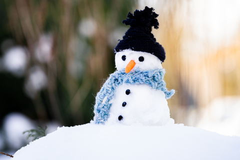 Snowman with blue scarf and black beanie hat 