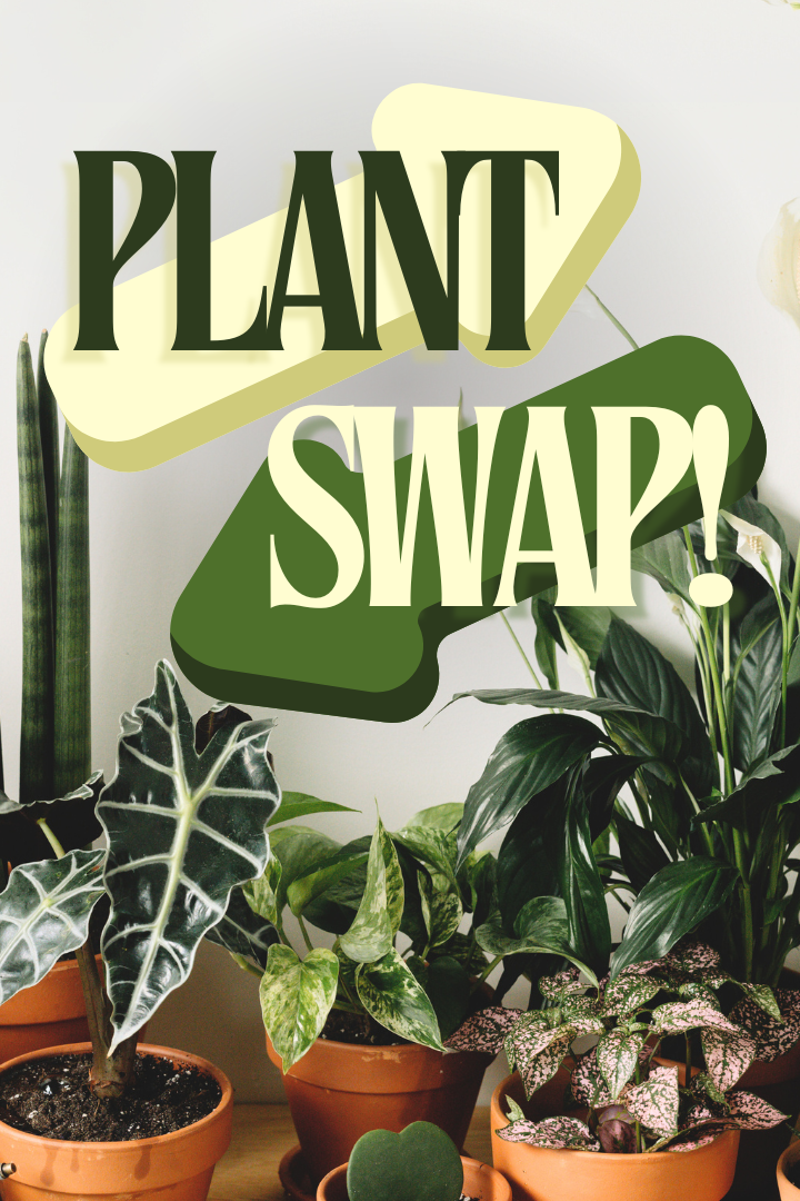 An image with the words "Plant Swap!" overlaid on a background of various potted plants.