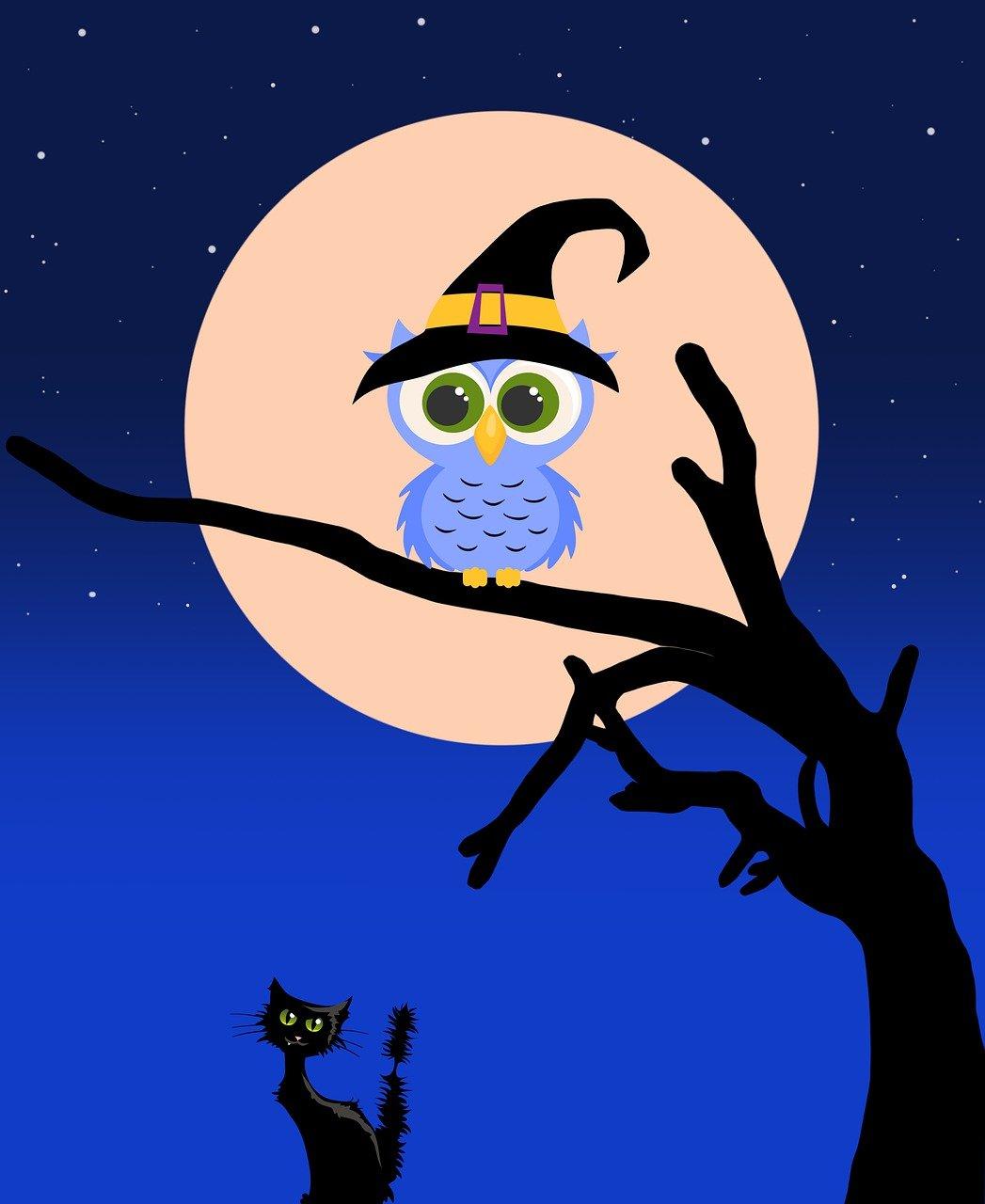 Owl with witches hat in front of moon