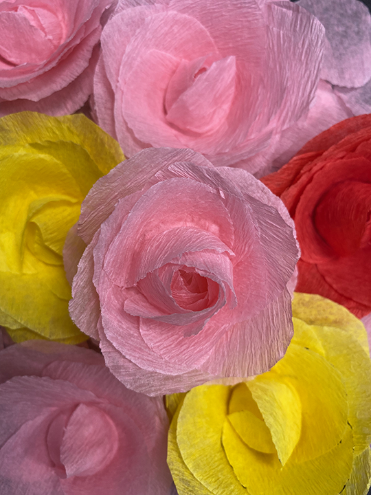 paper roses