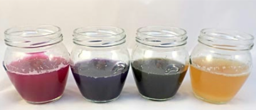 4 glasses of red, blue, green and yellow liquids